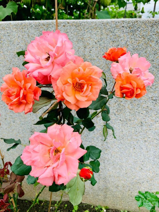 Jifun Flower Meanings Ji'an Dış mekan fotoğraf
